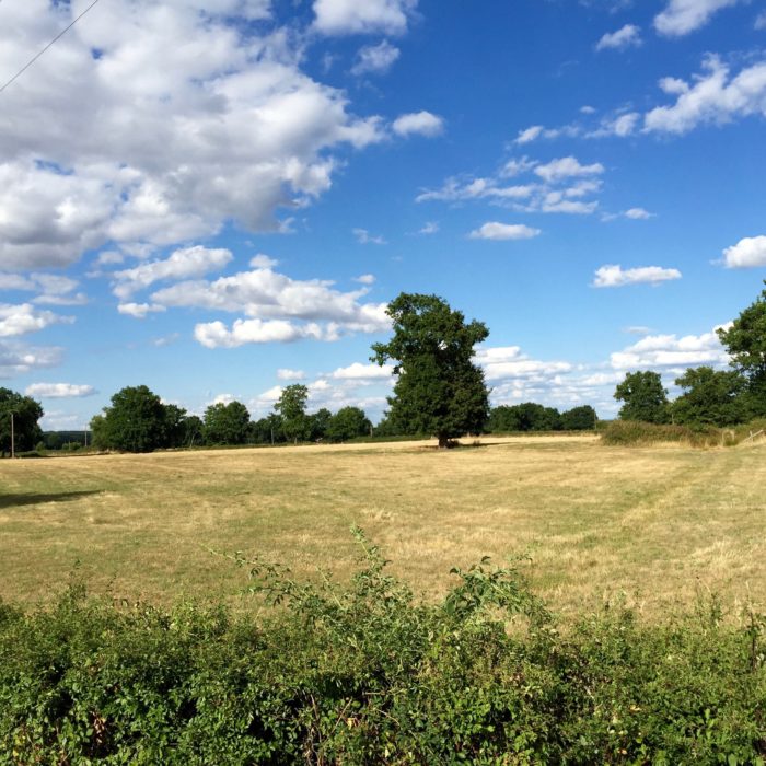 Balade dans la campagne